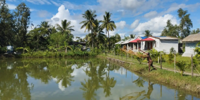 Sundarban package